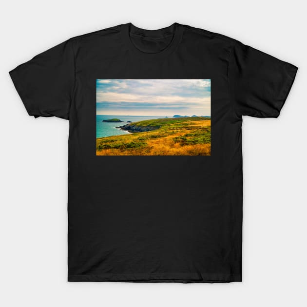 St Davids Peninsula - Coastal Scenery - Pembrokeshire, Wales T-Shirt by Harmony-Mind